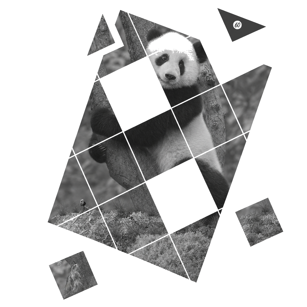 Panda math puzzle